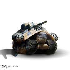 turtle tanks.jpg